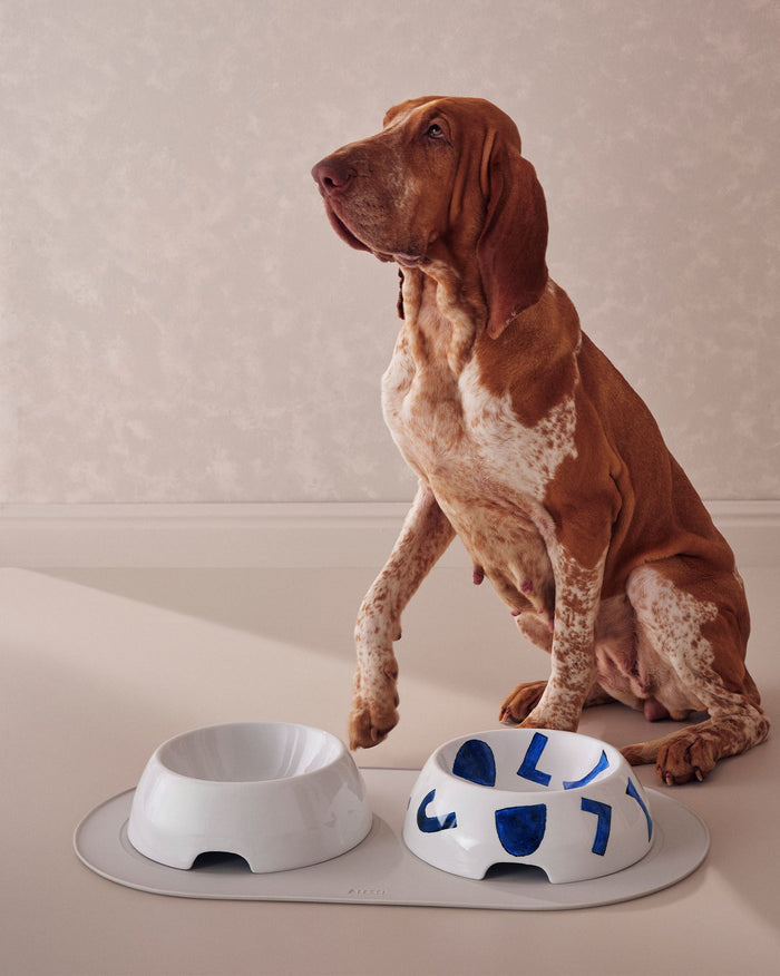 Alessi Image