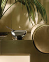 Silver polished metal bowl-shaped fragrance diffuser by Alessi, holding two dark incense sticks on a bronze surface with a green plant.