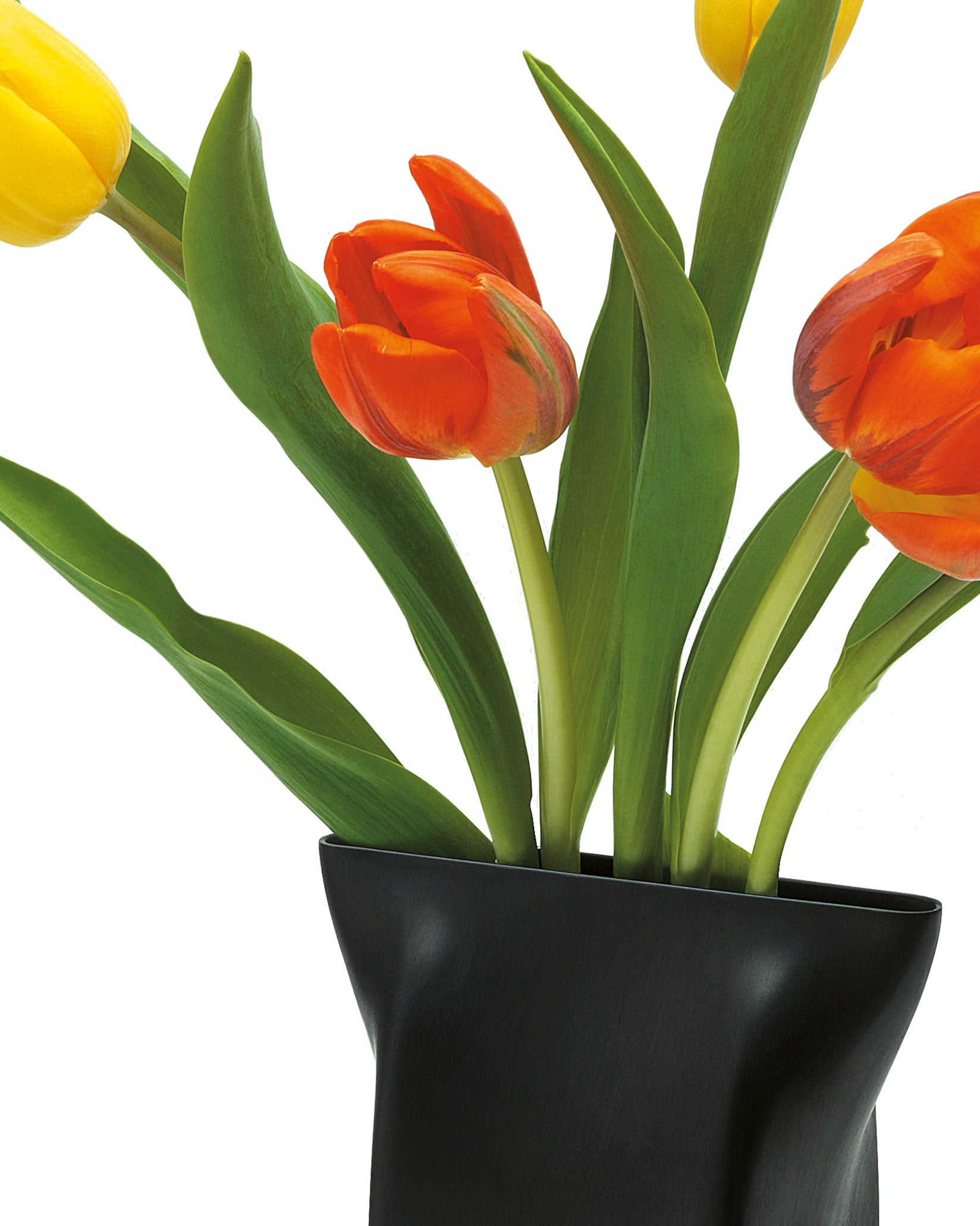 Black Pinch vase by Alessi, with a matte finish, holding vibrant yellow and orange tulips.