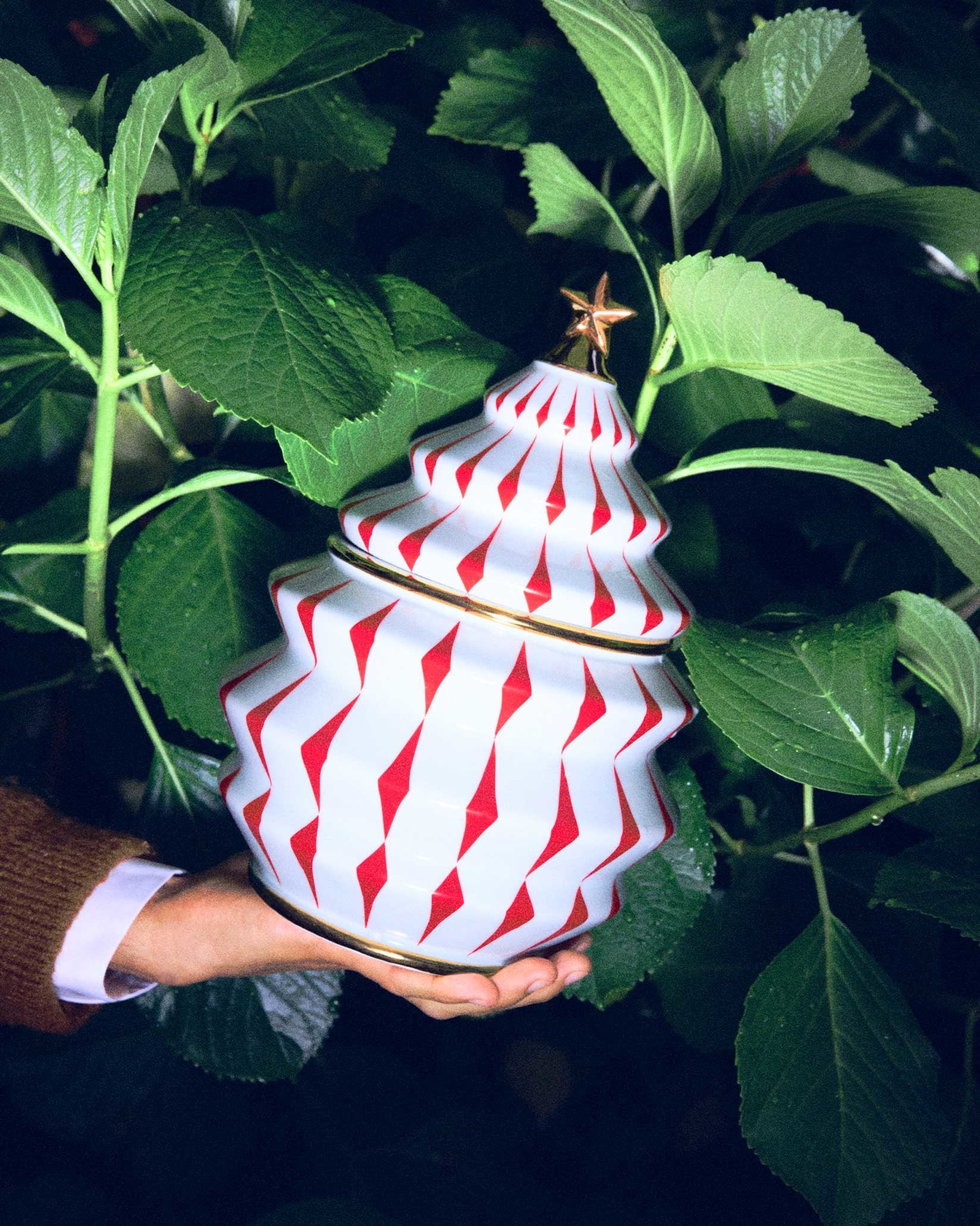 White and red Christmas tree container by Alessi with gold trim and star topper, held in hand amidst green leaves.