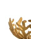 Golden decorative bowl by Alessi with an intricate coral-like cut-out design, close-up cropped view.