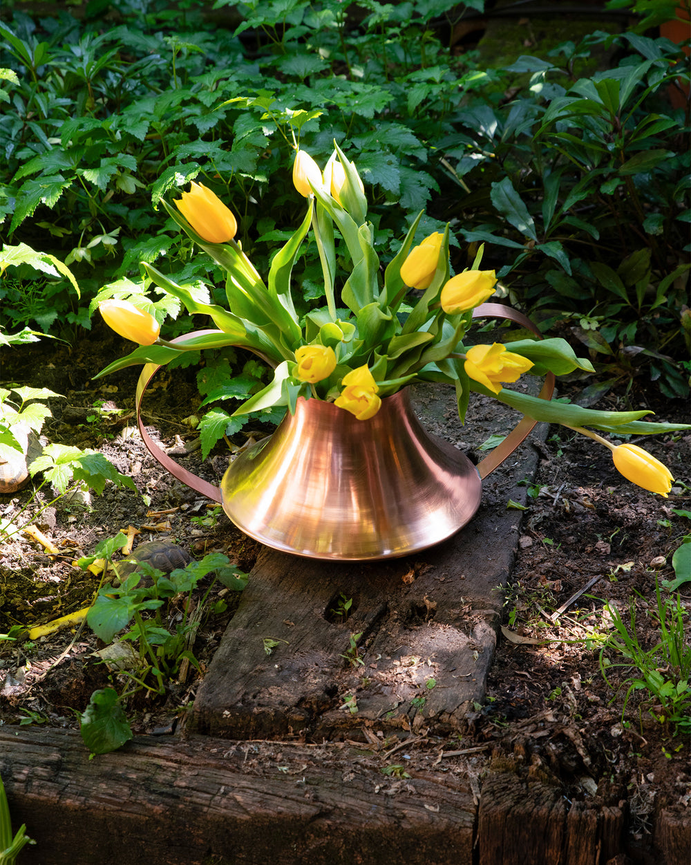 Copper Conca vase by Alessi, filled with vibrant yellow tulips, sitting on rustic wooden planks in a sunlit garden.