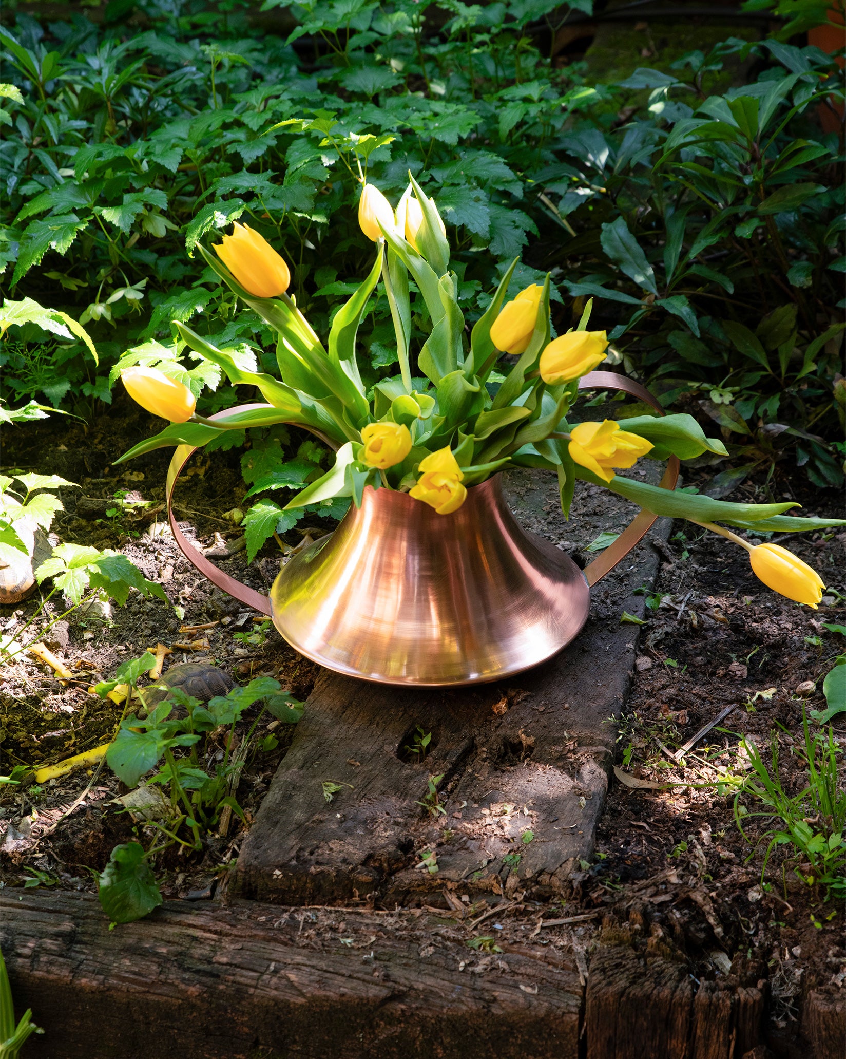 Copper Conca vase by Alessi, filled with vibrant yellow tulips, sitting on rustic wooden planks in a sunlit garden.