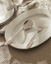 Silver serving fork by Alessi, with a matching spoon on a white oval platter and grid-patterned tablecloth.