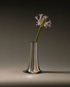 Silver trumpet vase by Alessi, featuring a single purple agapanthus flower on a dark grey background.