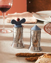 Perforated stainless steel salt and pepper shakers by Alessi, one with a blue butterfly-shaped top and red knob, the other with a blue conical top.