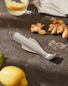 Silver metal fish-shaped grater by Alessi, resting on a dark countertop with ginger, lemons, and a glass of water.