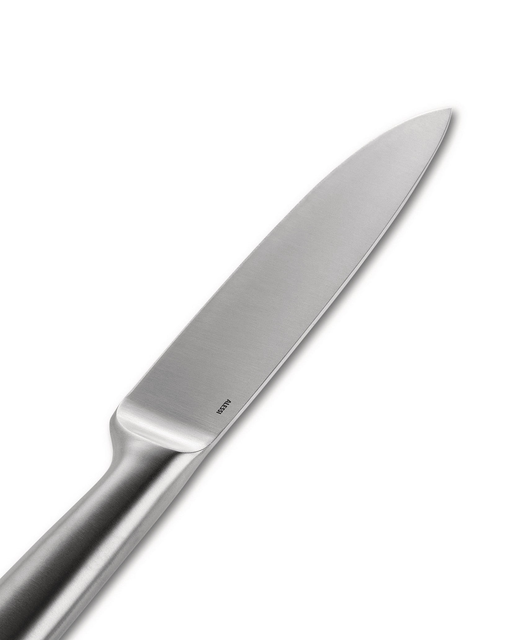 Metallic kitchen knife by Alessi with a brushed finish and a visible logo engraved on the blade.