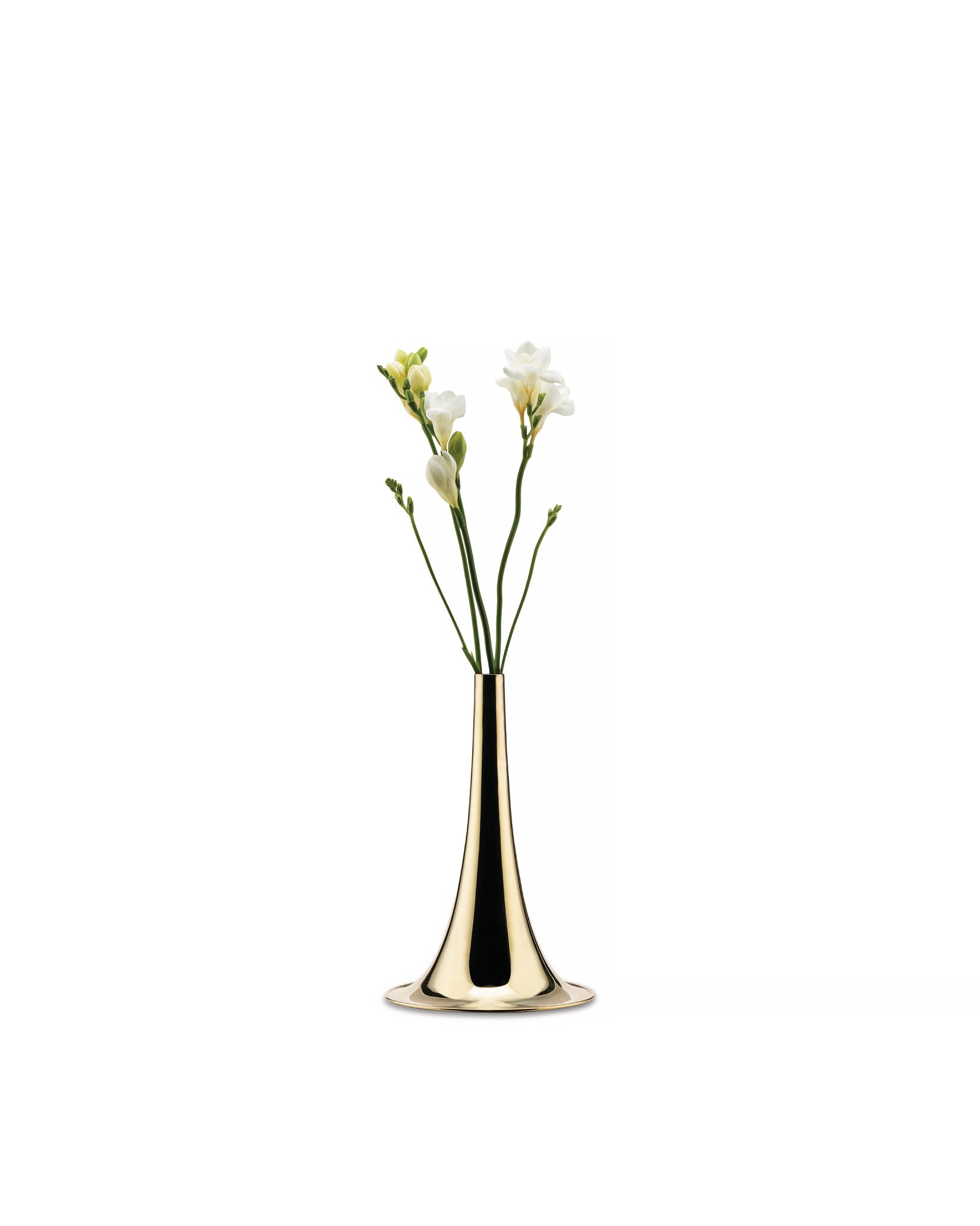A golden trumpet vase by Alessi holding white freesia flowers, isolated on a white background.