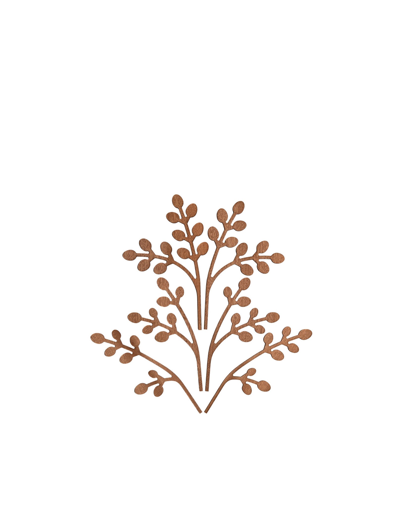 Brown wooden decorative element by Alessi, featuring a stylized, symmetrical plant motif with small oval leaves on a white background.