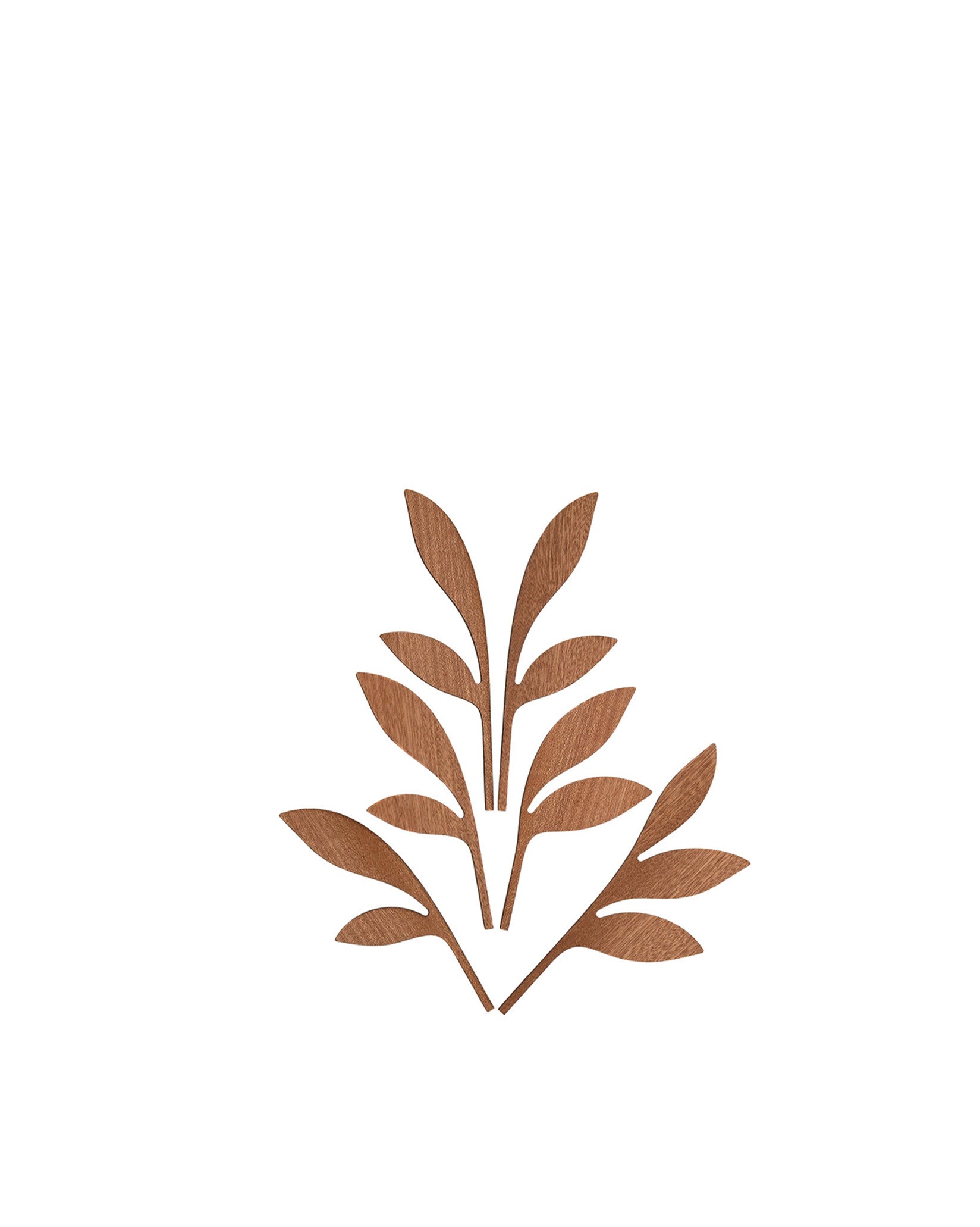 Brown stylized wooden leaves by Alessi, arranged as a plant with visible wood grain texture.