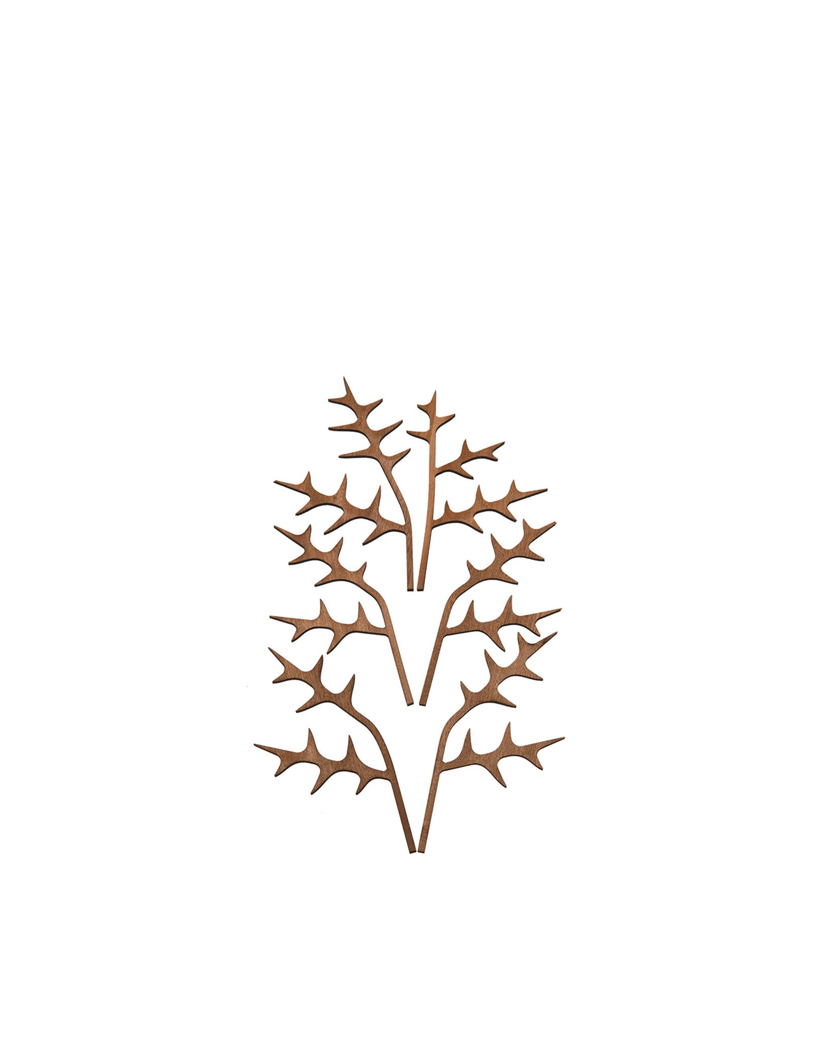 The Five Seasons stylized brown wooden decorative elements by Alessi, resembling thorn branches, arranged vertically on a white background.